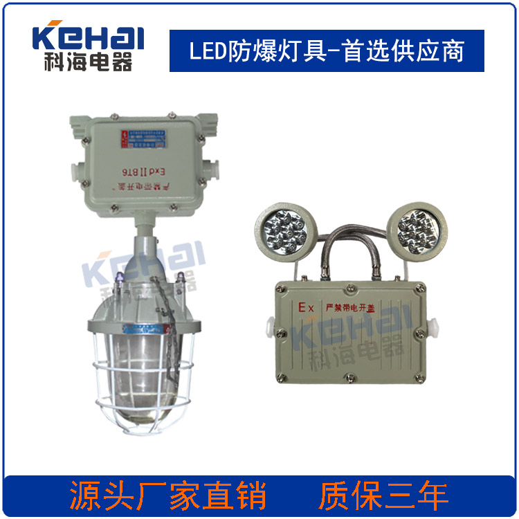 防爆應急燈圖片/防爆應急燈樣板圖 (4)