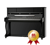 珠江愷撒堡鋼琴圖片/珠江愷撒堡鋼琴樣板圖 (3)