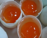 沈陽海鴨蛋批發(fā)哪里好圖片