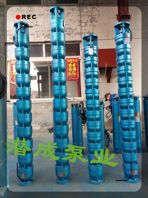 提水泵圖片/提水泵樣板圖 (1)