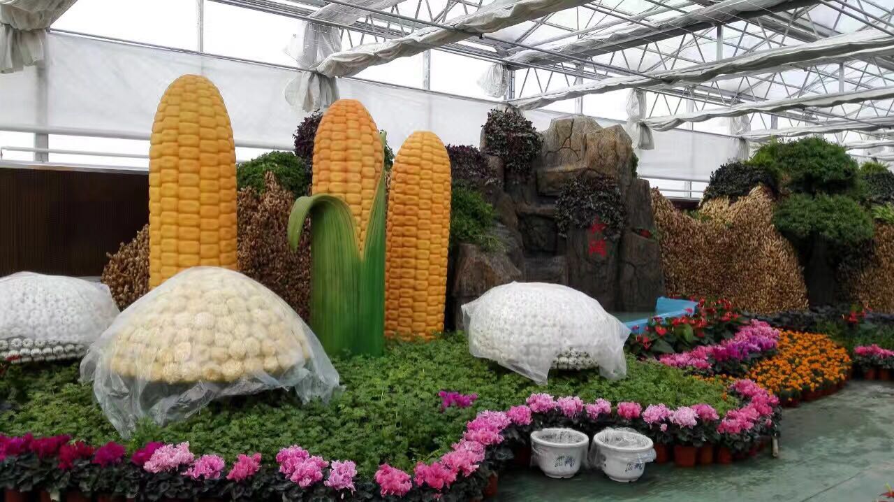 農(nóng)業(yè)觀光園施工圖片