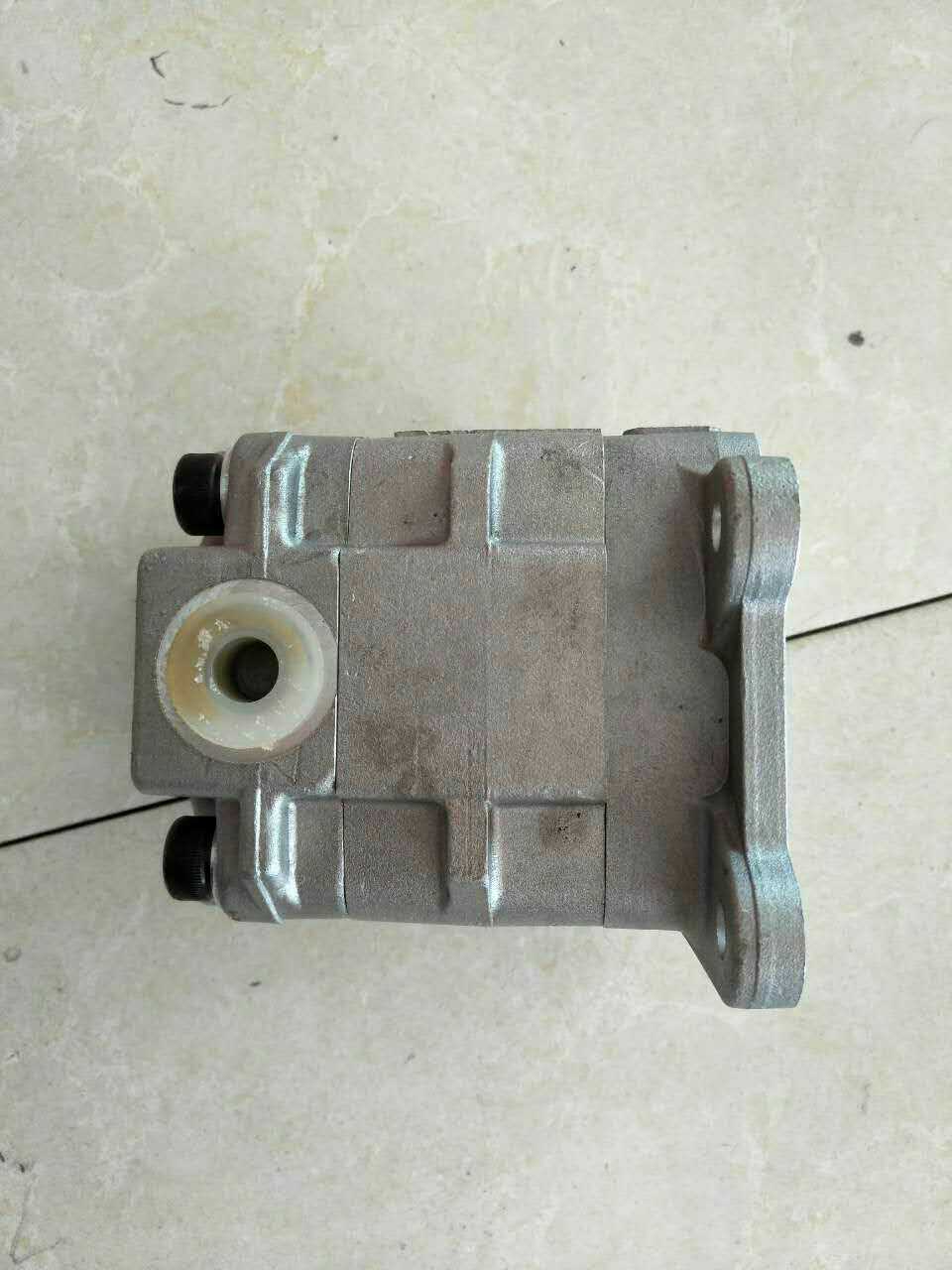 小松40MR-2先導(dǎo)齒輪泵廠家批圖片/小松40MR-2先導(dǎo)齒輪泵廠家批樣板圖 (4)