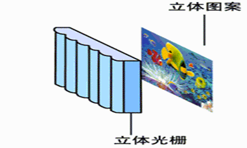 全景奇畫圖片/全景奇畫樣板圖 (4)