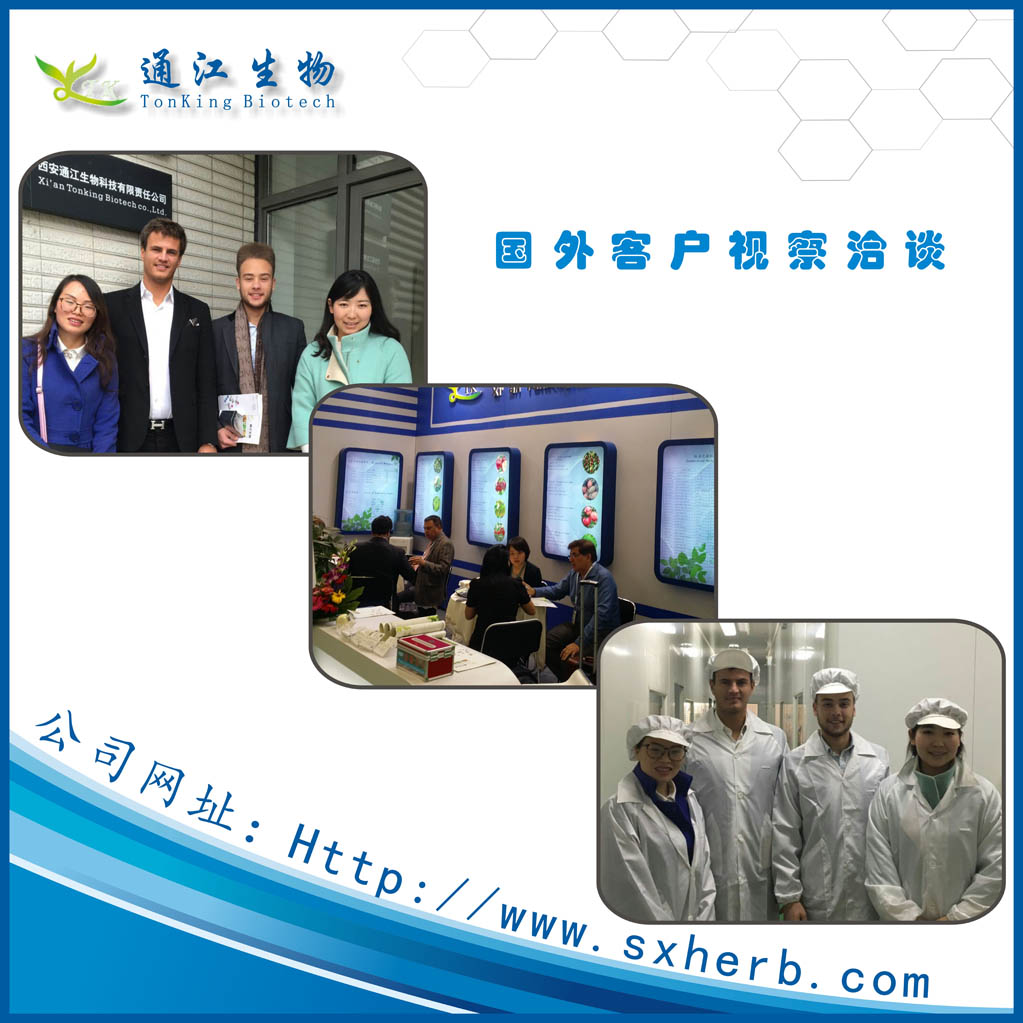 胡蘿卜素圖片/胡蘿卜素樣板圖 (2)