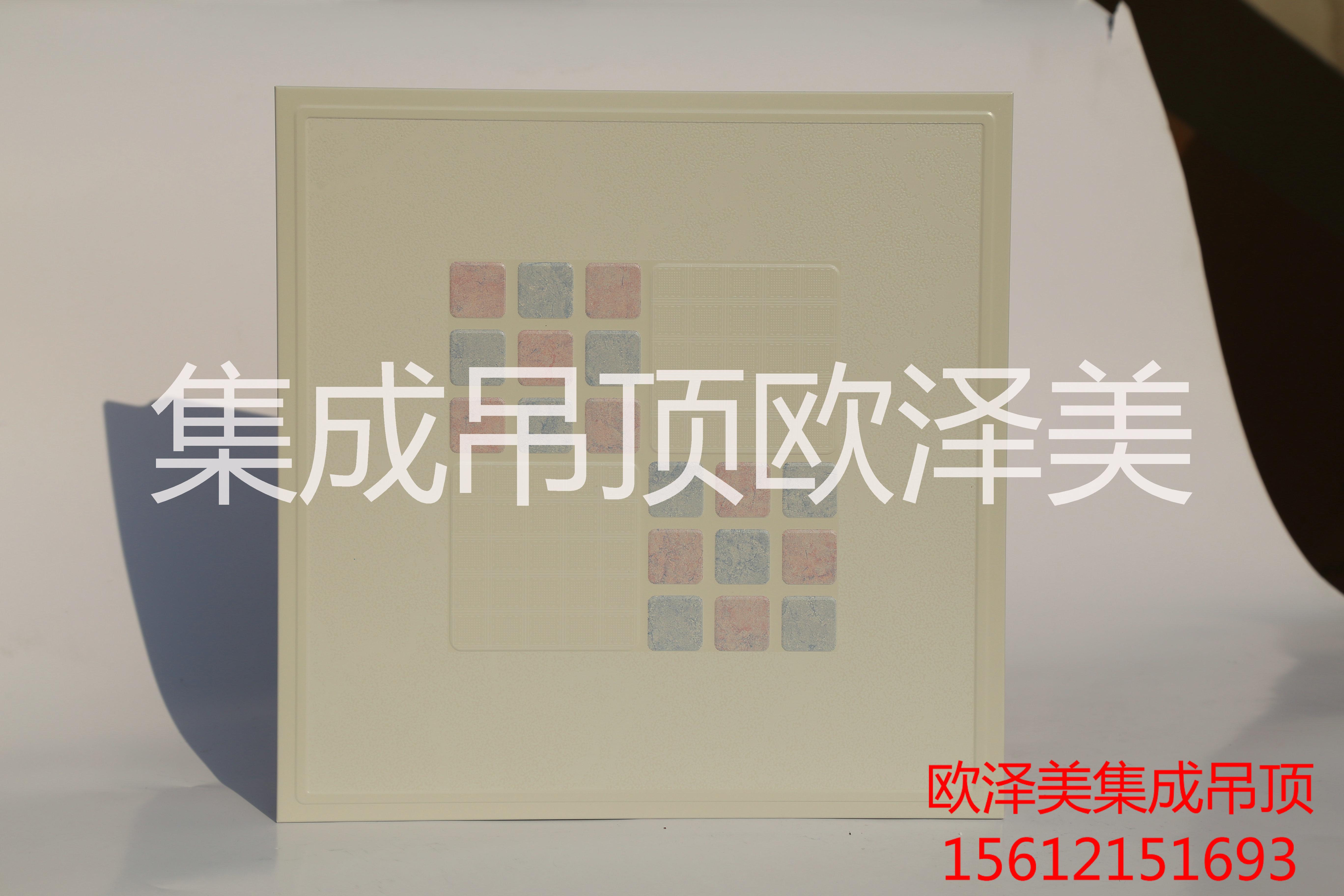 集成吊頂風(fēng)藍(lán)品格廠家直銷圖片/集成吊頂風(fēng)藍(lán)品格廠家直銷樣板圖 (2)