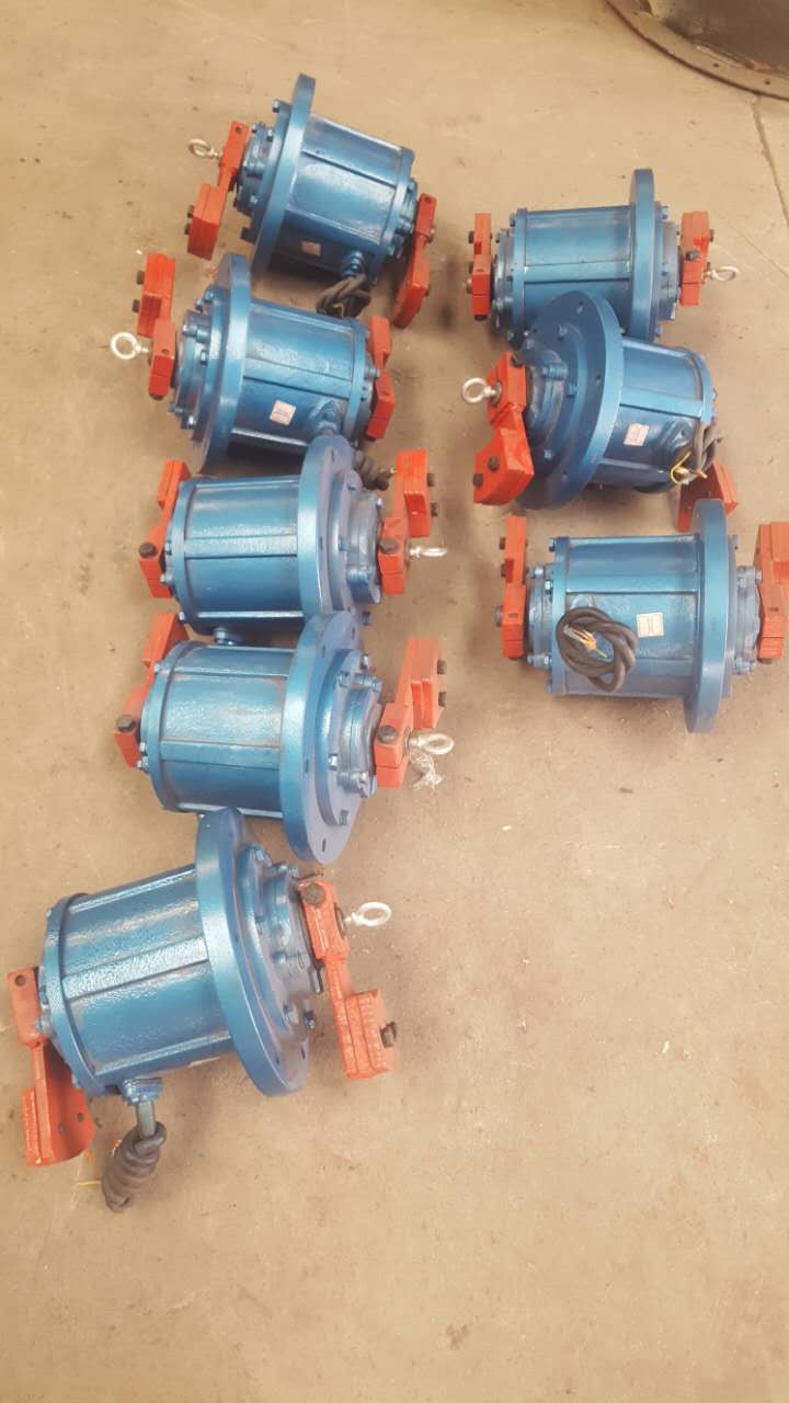 立式振動電機(jī)圖片/立式振動電機(jī)樣板圖 (4)