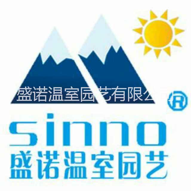 郁金香花海設(shè)計(jì)圖片