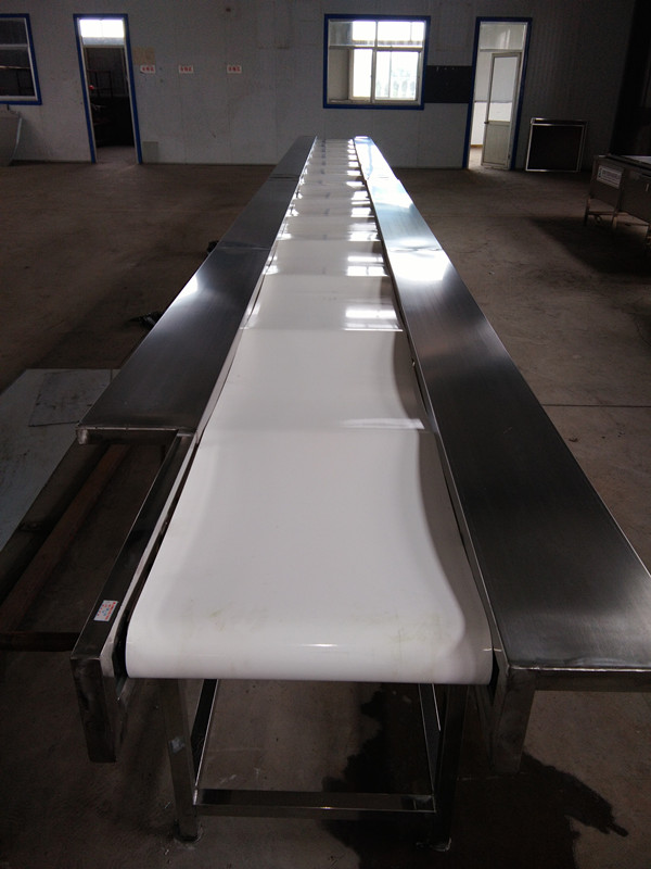 帶輸送機圖片/帶輸送機樣板圖 (2)