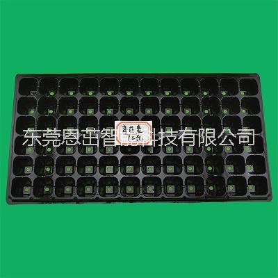 72孔加厚芽苗蔬菜營(yíng)養(yǎng)缽花卉育苗圖片/72孔加厚芽苗蔬菜營(yíng)養(yǎng)缽花卉育苗樣板圖 (1)