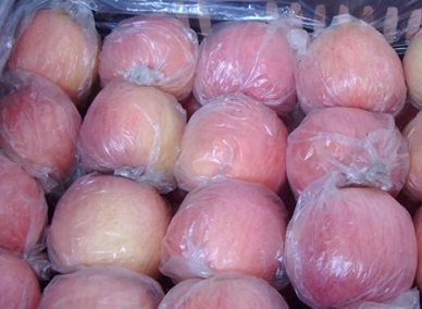 紅富士蘋果圖片/紅富士蘋果樣板圖 (4)