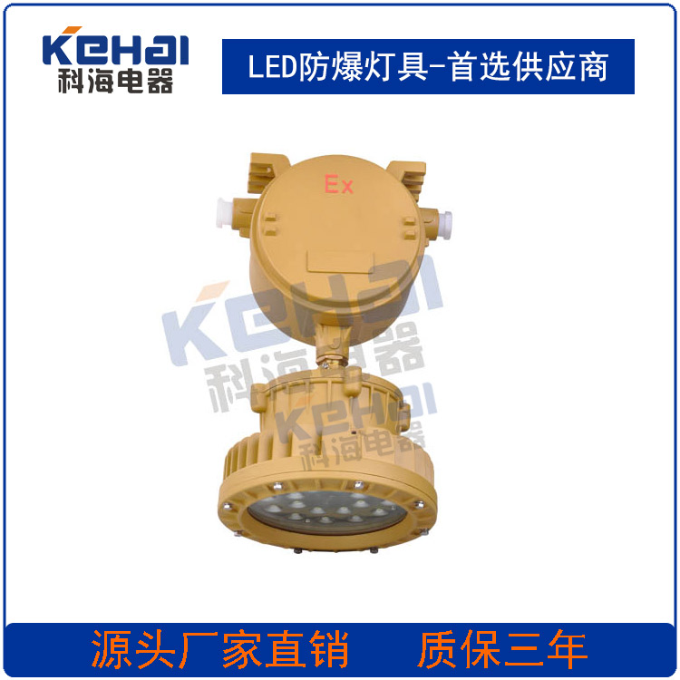 LED防爆應(yīng)急照明燈圖片