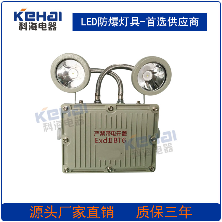 防爆應(yīng)急燈圖片/防爆應(yīng)急燈樣板圖 (3)