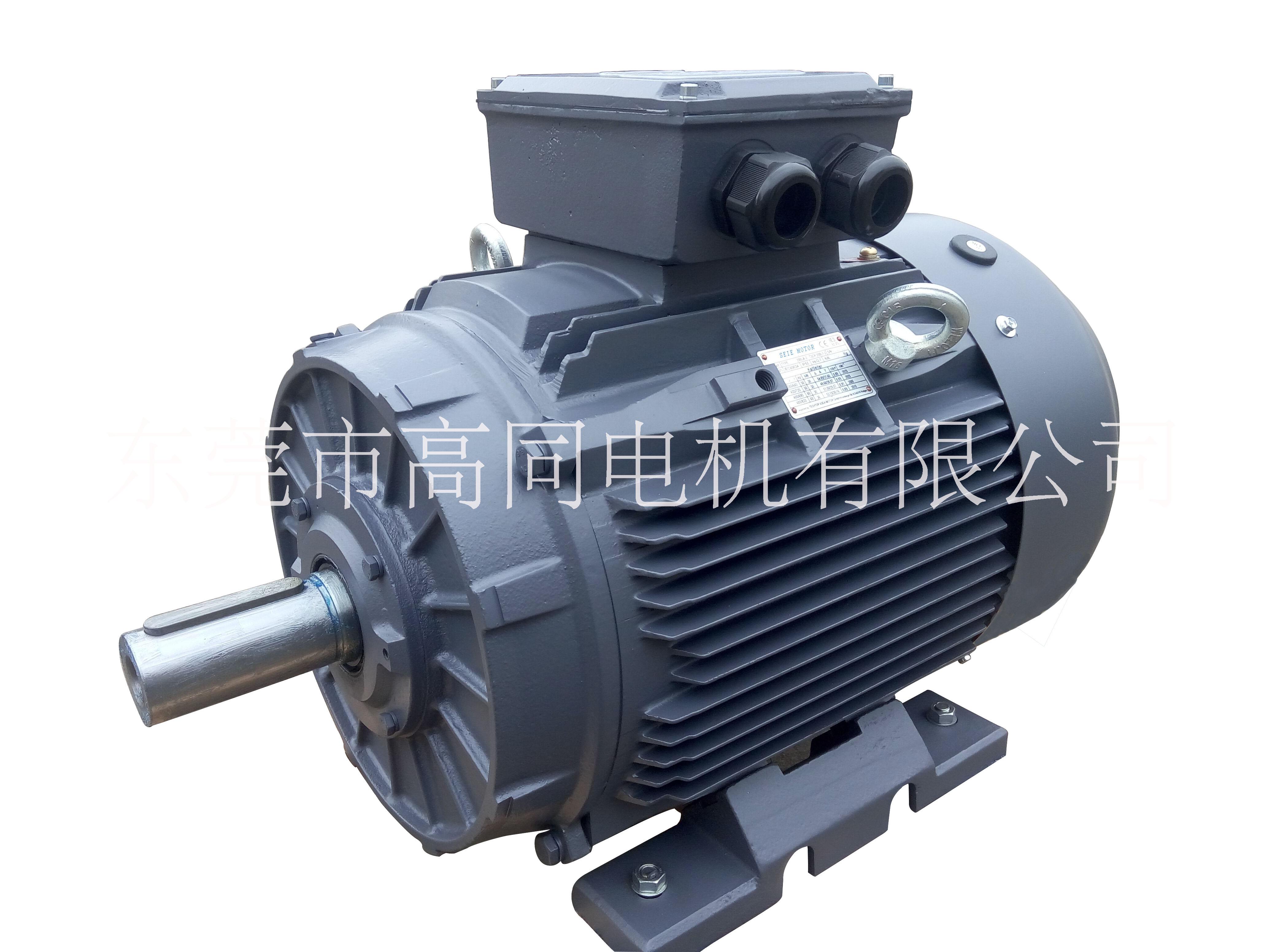 出口電機(jī)圖片/出口電機(jī)樣板圖 (2)