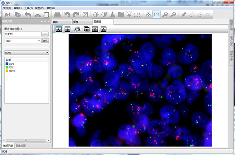 MFISH熒光原位雜交分析系統(tǒng)圖片