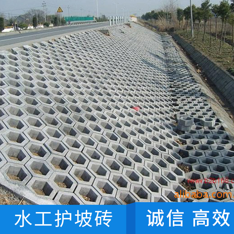 護(hù)坡磚圖片/護(hù)坡磚樣板圖 (4)