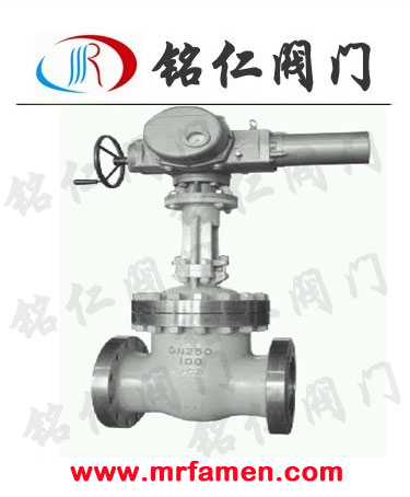 Z941H-100C DN250圖片/Z941H-100C DN250樣板圖 (1)