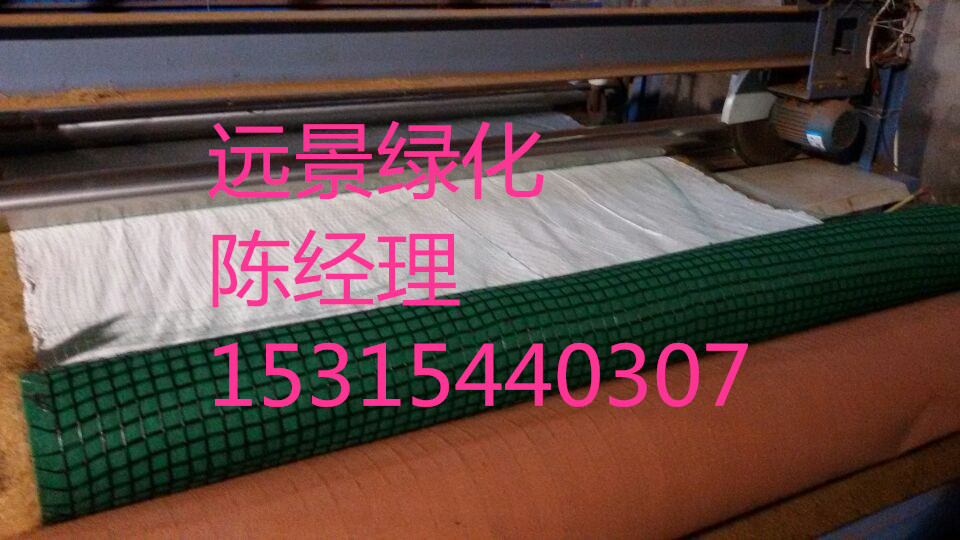 抗沖生態(tài)毯植生被圖片/抗沖生態(tài)毯植生被樣板圖 (2)