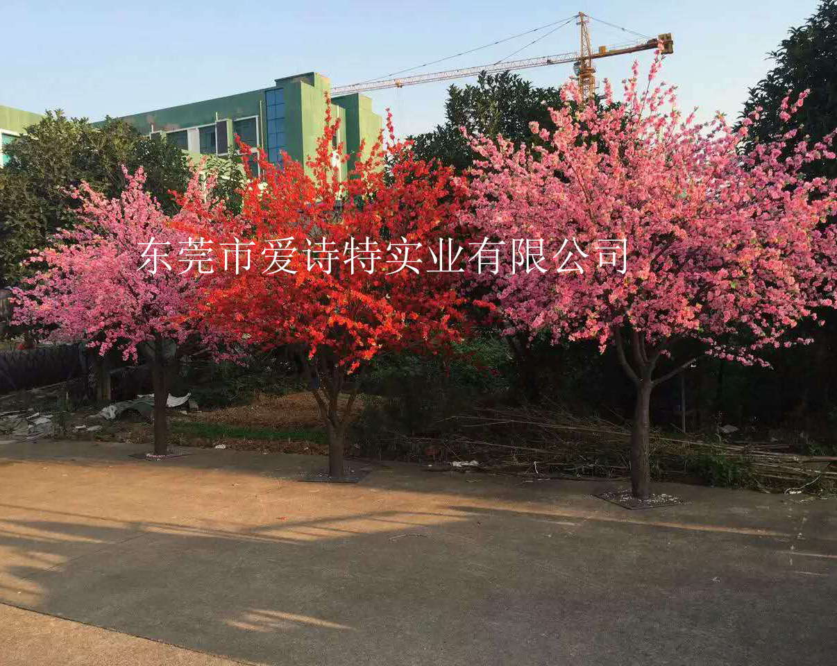 桃花樹(shù)圖片/桃花樹(shù)樣板圖 (4)