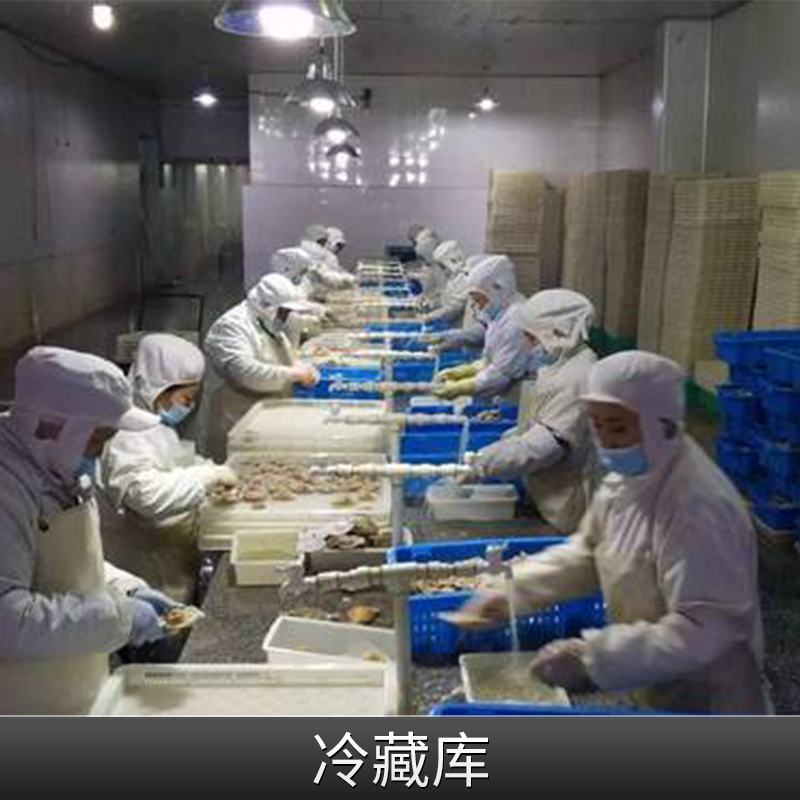 浙江冷藏庫廠家圖片
