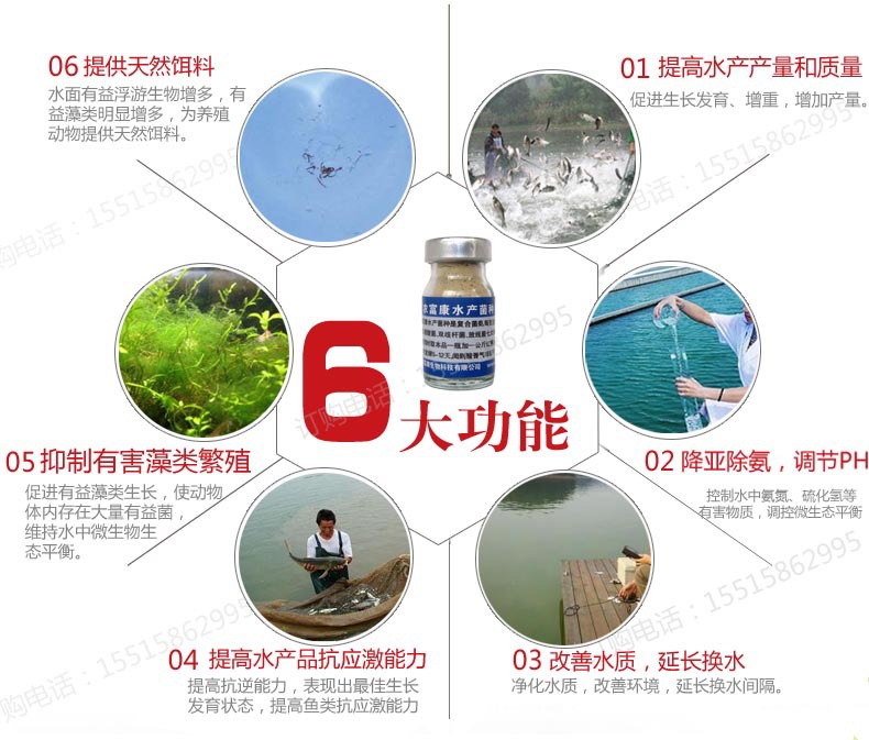 水產(chǎn)em菌種圖片/水產(chǎn)em菌種樣板圖 (2)