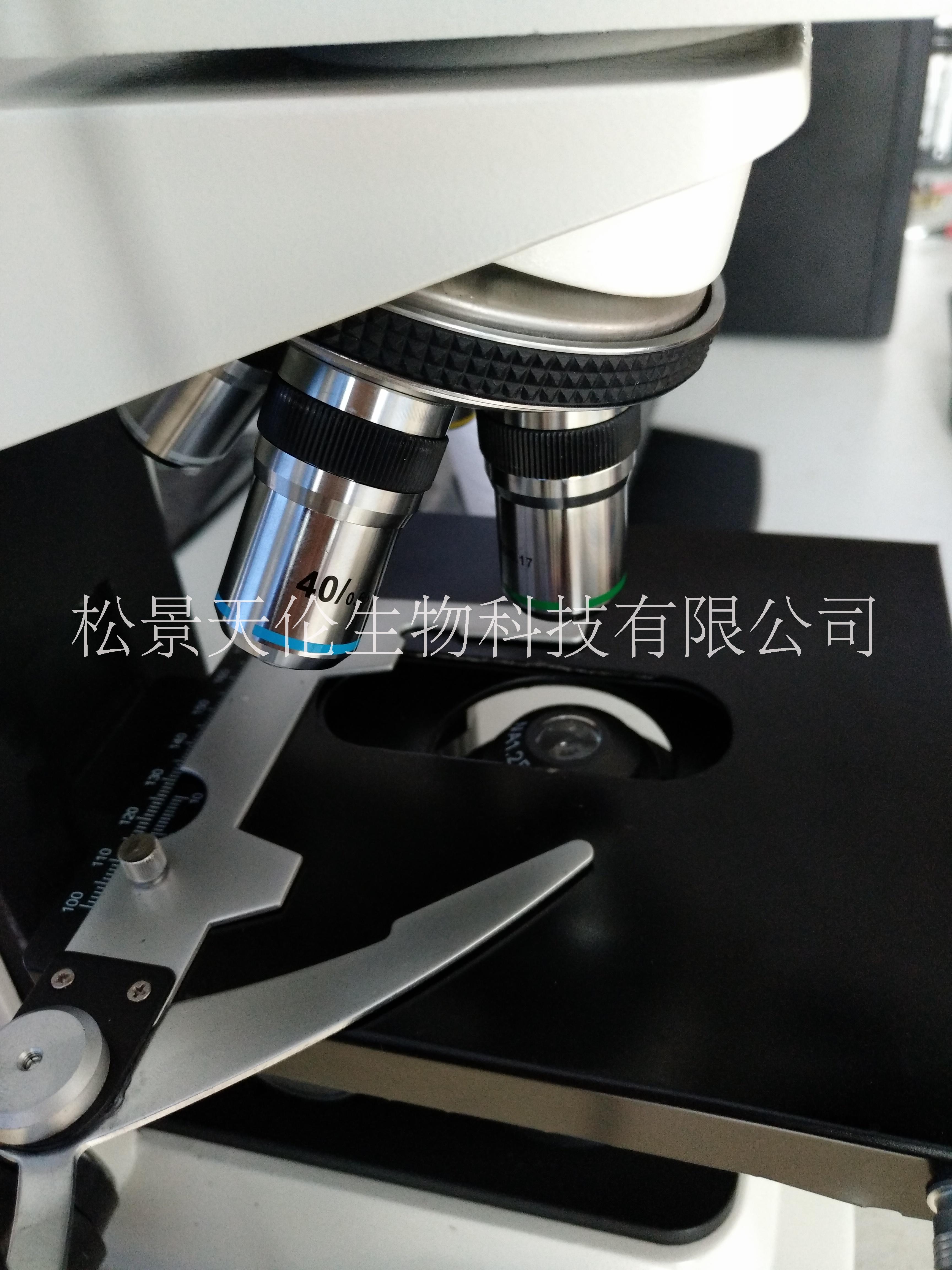 精子分析儀圖片/精子分析儀樣板圖 (4)