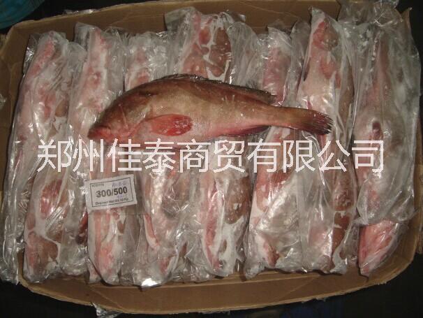 冷凍石斑魚(yú)批發(fā)-冷凍多寶魚(yú)批發(fā)廠家-冷凍芒魚(yú)銷(xiāo)售-冷凍銀魚(yú)批發(fā)-冷凍秋刀魚(yú)批發(fā)廠家-冷凍帶魚(yú)