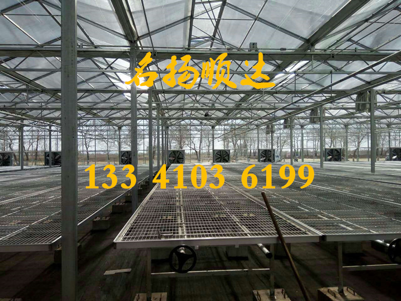 北京溫室大棚 北京溫室大棚、大棚溫室、春秋大棚