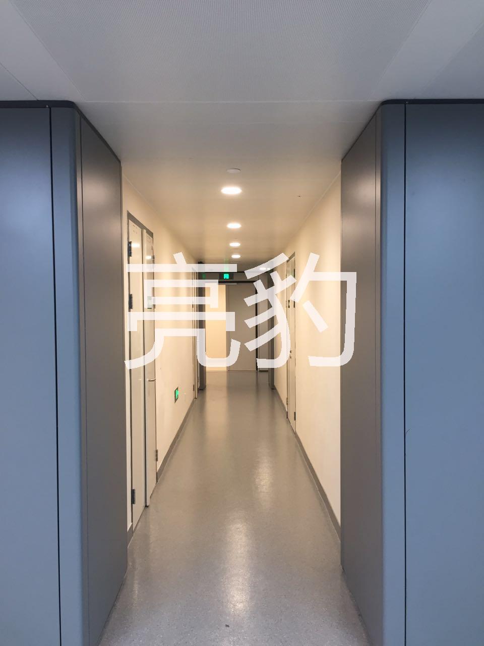 廣州亮豹抑菌復(fù)合隔離墻面漆圖片