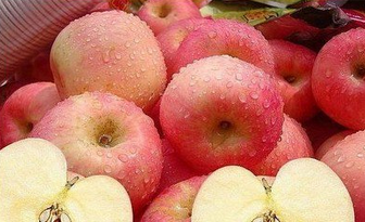 河南廠家紅富士蘋果供應(yīng)  黃香蕉蘋果批發(fā)