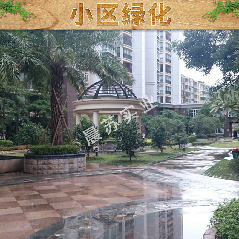 重慶綠化養(yǎng)護(hù)圖片/重慶綠化養(yǎng)護(hù)樣板圖 (3)