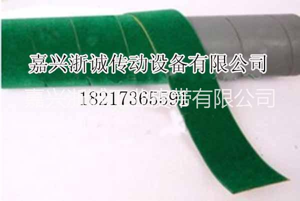 綠絨帶圖片/綠絨帶樣板圖 (3)