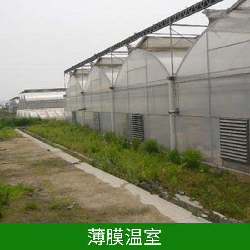 寧夏薄膜溫室∣銀川薄膜連棟溫室∣石嘴山智能薄膜溫室-邯鄲市鑫凱農(nóng)業(yè)科技有限公司