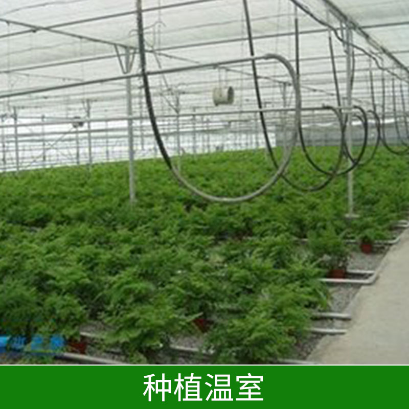 種植溫室圖片/種植溫室樣板圖 (2)
