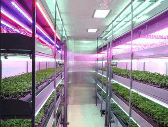 2835貼片led圖片/2835貼片led樣板圖 (4)