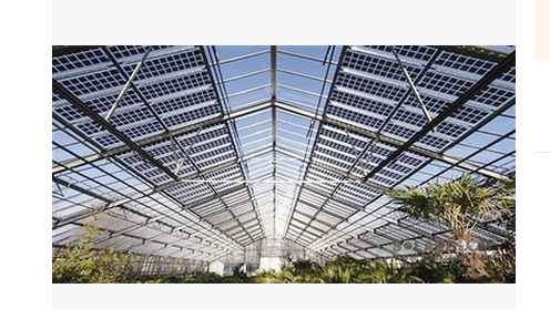 蔬菜溫室大棚圖片