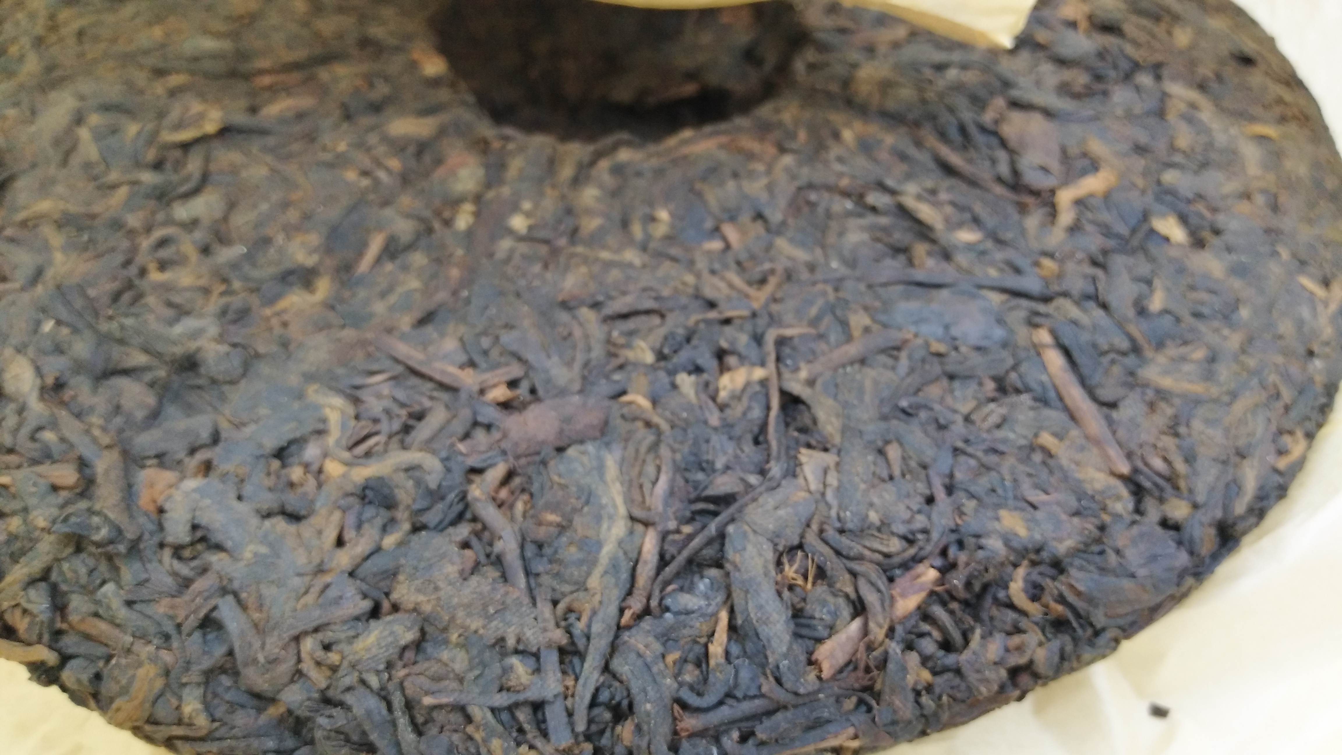 普洱茶圖片/普洱茶樣板圖 (2)