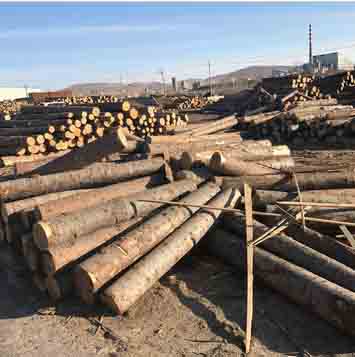 滿洲里江城木業(yè)有限公司圖片