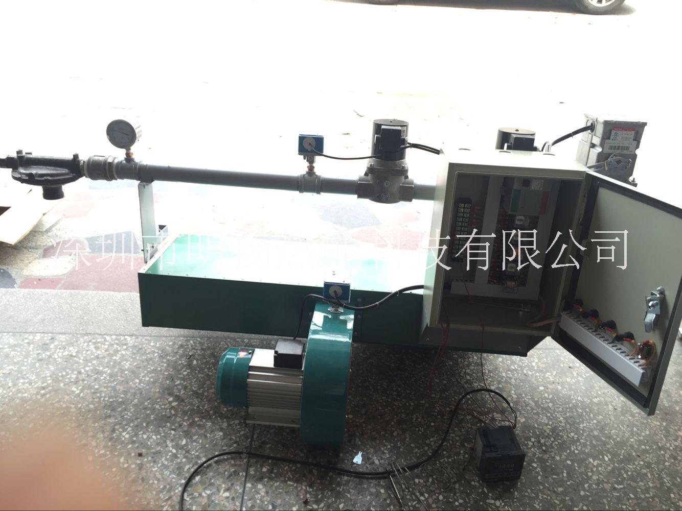 RAH-160美國E牌燃燒機(jī)圖片