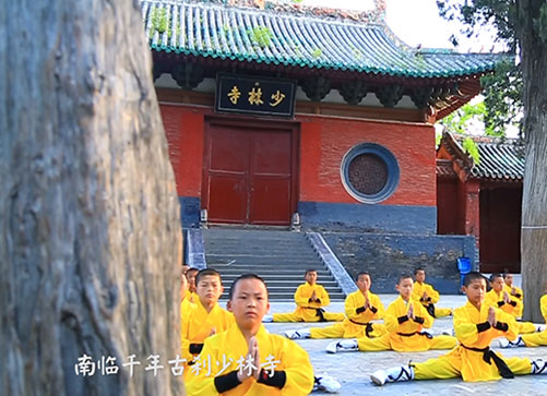 要去嵩山少林寺文武学校一年的学费是多少钱 嵩山少林寺文武学校学费