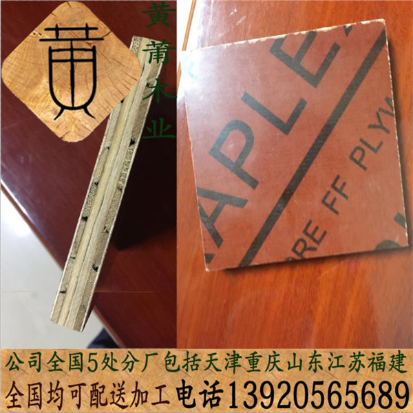 建筑橋梁圖片/建筑橋梁樣板圖 (1)