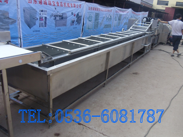 云南大姜清洗-氣泡清洗機圖片/云南大姜清洗-氣泡清洗機樣板圖 (2)