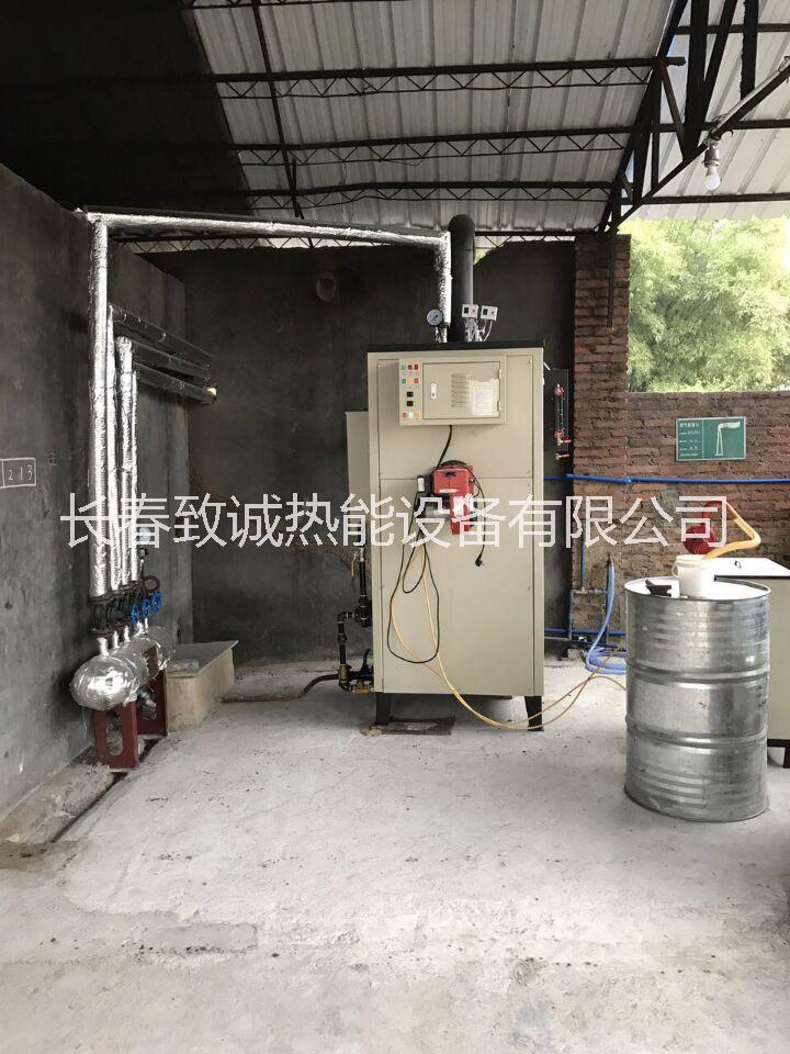 燃?xì)庹羝l(fā)生器圖片/燃?xì)庹羝l(fā)生器樣板圖 (3)