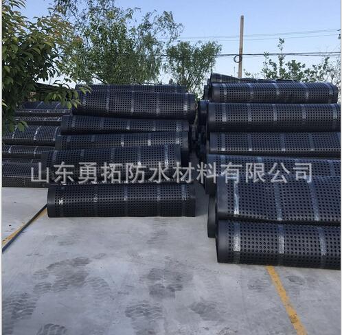 山東周邊排水板圖片/山東周邊排水板樣板圖 (3)