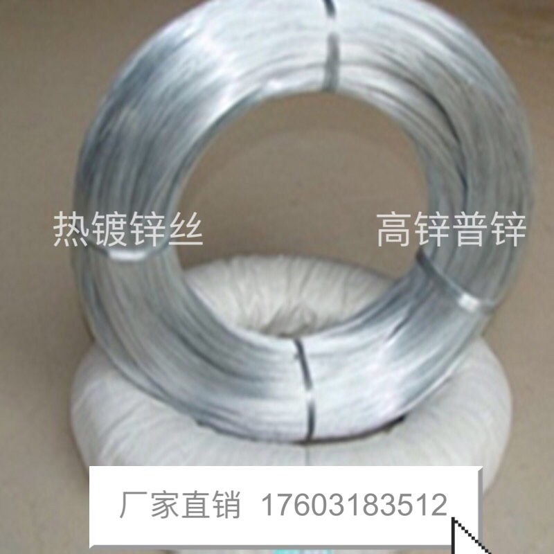 廠家生產(chǎn)直銷優(yōu)質(zhì)鍍鋅鐵絲圖片