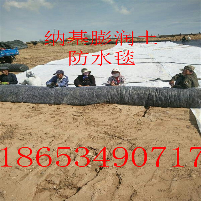 膨潤(rùn)土防水毯圖片/膨潤(rùn)土防水毯樣板圖 (3)