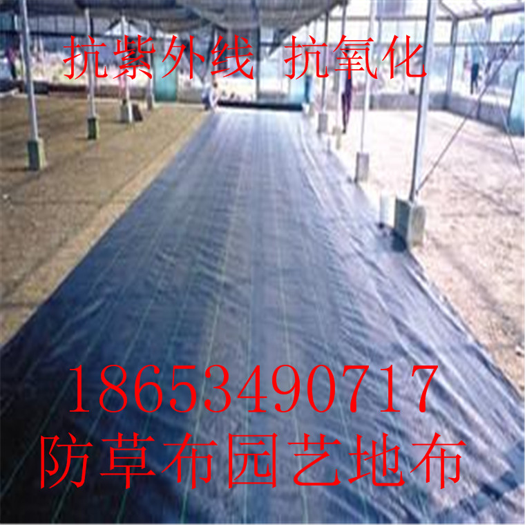 防草地布圖片/防草地布樣板圖 (2)