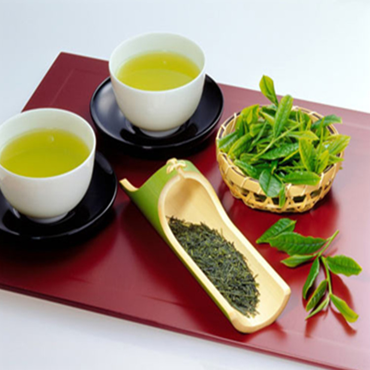 綠茶提取物圖片/綠茶提取物樣板圖 (3)