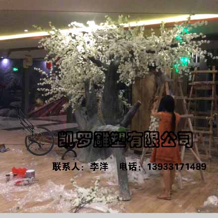 櫻花樹圖片