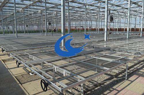 移動苗床批發(fā)廠家-河北博超苗床金圖片