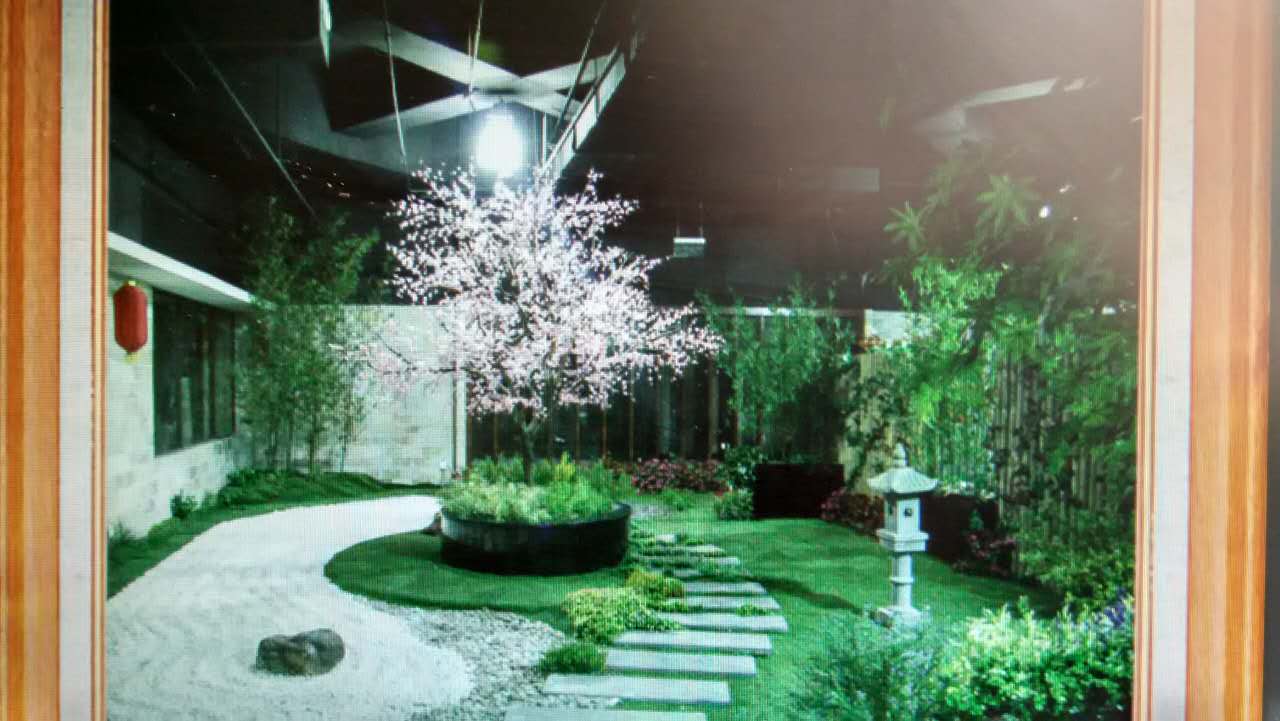 櫻花樹圖片/櫻花樹樣板圖 (4)